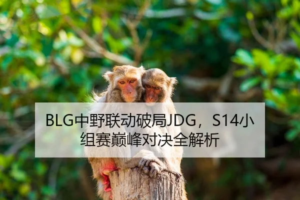 BLG中野联动破局JDG，S14小组赛巅峰对决全解析