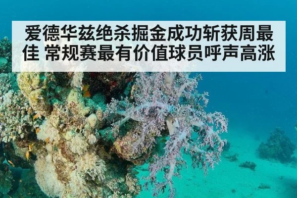 爱德华兹绝杀掘金成功斩获周最佳 常规赛最有价值球员呼声高涨